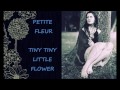 PETITE FLEUR. Jill Barber. Lyrics