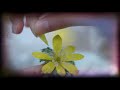 Kya Tujhe Ab Ye Dil Bataye Moon Young Gang Tae It S Okay To Not Be Okay Korean Hindi Mix Song