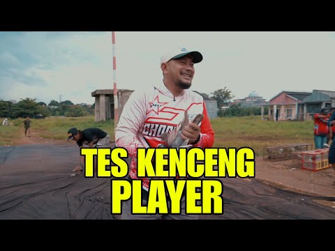 TES KENCENG PLAYER SETELAH LAMA GA MAEN MERPATI