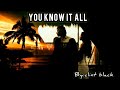YOU KNOW IT ALL(lyrics)