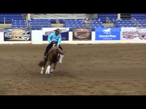 Equidome   Draw 32   Back 224   FS Gunnin for chics   Andrea Fappani
