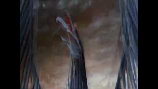 The vibrators--Troops of tomorrow