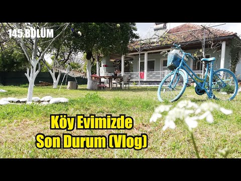 Köyceğiz deki müstakil evimizde son durum ! Neler Yaptık ?
