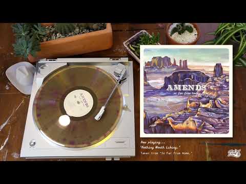 Amends - Nothing Worth Liking