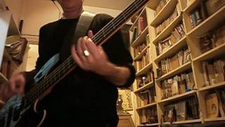 Shimmer &amp; Shine - Ben Harper And Relentless7 [Bass Cover]