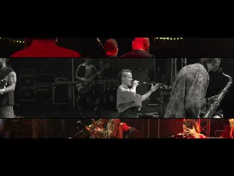 Diamusk & Int. Dub Orchestra - Riot ft. Trajche Velkov (Official video)