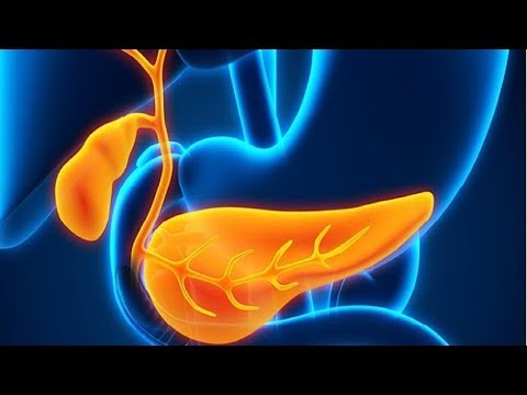 Wie Sie Ihre Bauchspeicheldrüse reinigen