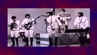 Paul Revere and The Raiders ~ I Had a Dream (Stereo)