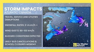 Deeper Look at Incoming Nor'Easter After Damaging Impacts in the U.S. | #forecast