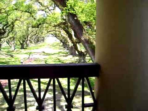 Oak Alley Plantation Video 4