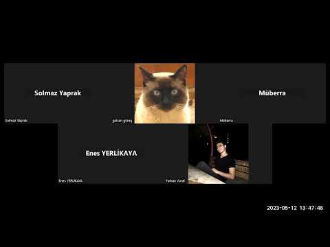 Modern Ortadoğu Tarihi 10. Hafta