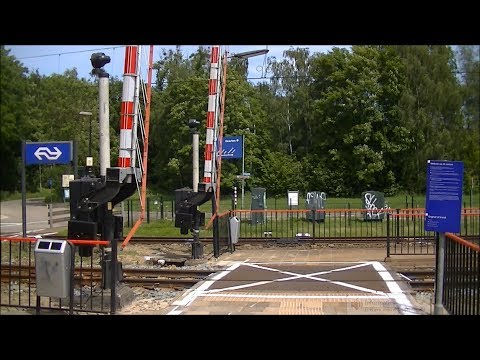 Spoorwegovergang Spaubeek // Dutch railroad crossing