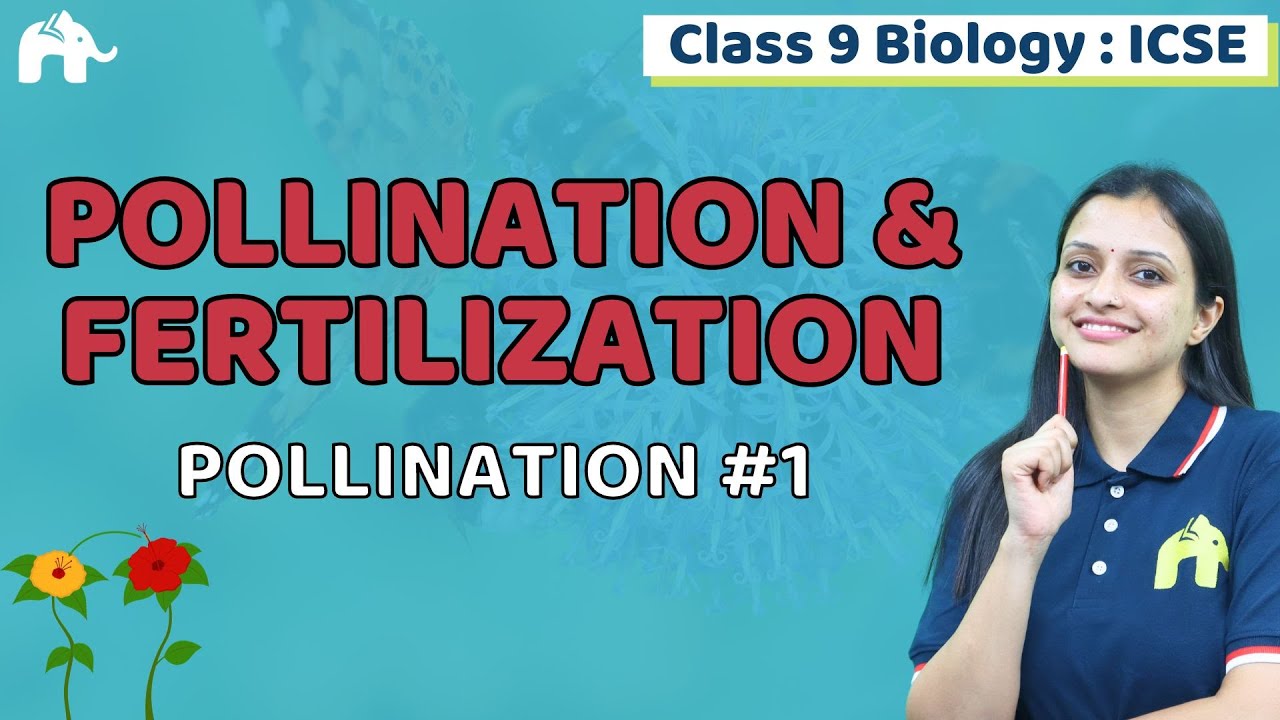 Pollination & Fertilization Class 9 ICSE Biology | Chapter 4 | Selina | Pollination #1