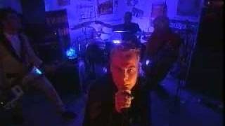 de HEIDEROOSJES - BREAK THE PUBLIC PEACE