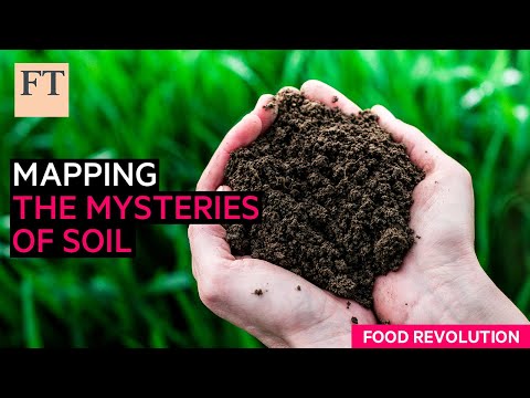 Metagenomics: mapping the mysteries of soil | FT Food Revolution