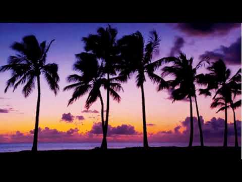 Lepolo Pole'o DjPolyRasta - TAMASII TONGA (slowed n reverb)