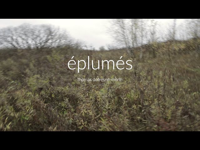 éplumés, film de thomas dufresne-morin