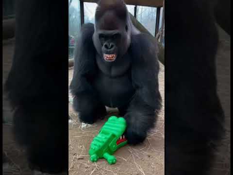 Phillies land All‑Star closer Jhoan Duran ahead of MLB trade deadline 👀🔥