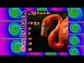 Freda Payne - Welcome To The Human Race + Tonia Smith - Joy From That
