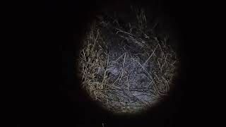 Chegou pular pra cima. Frito garantido.