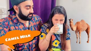 Drinking Camel’s Milk for The First Time 🥴🐪