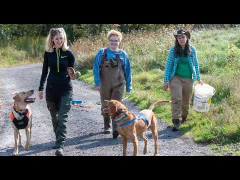 How a Wildlife Detection Dog and His Student Handlers Are Helping Preserve Rare Turtles
