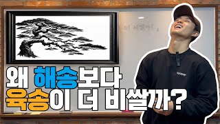 해송보다 육송이 더 비싼 '기막힌'이유! (feat. 동양화)