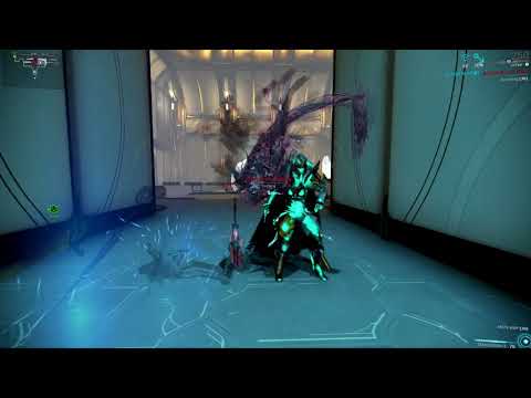 Warframe Focus 2.0 - Disarming the Stalker with Naramon.
