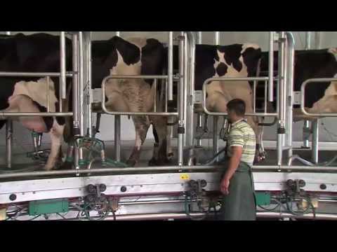 GEA manège AUTOROTOR Magnum 40