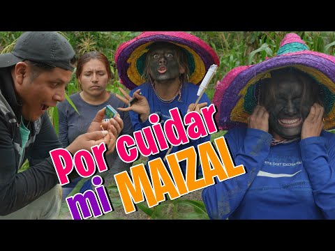 POR CUIDAR MI MAIZAL