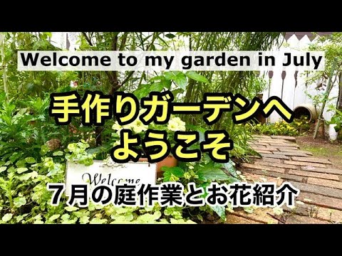 ラベンダーの世話をするための実用的なシート:開花、剪定、メンテナンス!  庭園