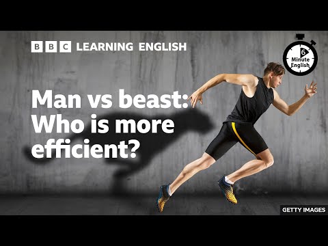 人與獸的較量。誰的效率更高？- 6分鐘英語 (Man vs beast: Who is more efficient? - 6 Minute English)