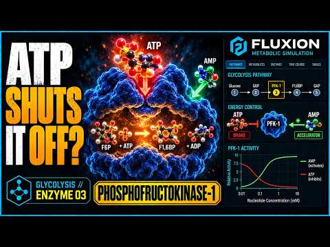 Phosphofructokinase-1 lesson video thumbnail