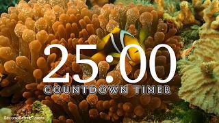 25 Minute Aquarium Timer with Relaxing Music 🐠⏰
