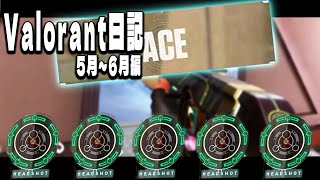 Valorant日記#1  5～6月編
