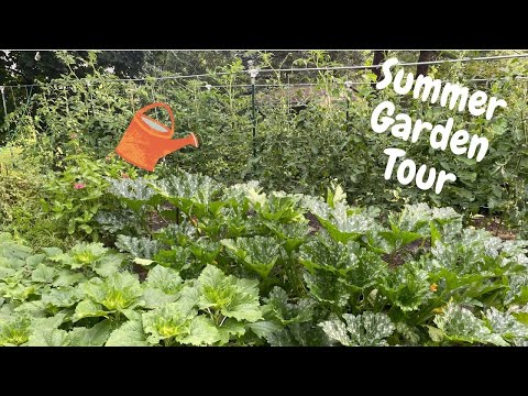 Summer Backyard Garden Update 7/18/21 | Gardening with Lucas