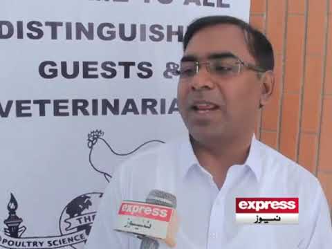 Egg as Best Food and Nutrition, World Egg Day 2019 Karachi, Pakistan (Express news)