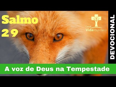SALMO 29 - A VOZ DE DEUS NA TEMPESTADE - Devocional Vida Abundante