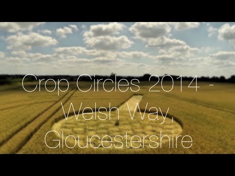 Crop Circles 2014 - Welsh Way, nr Barnsley, Gloucestershire