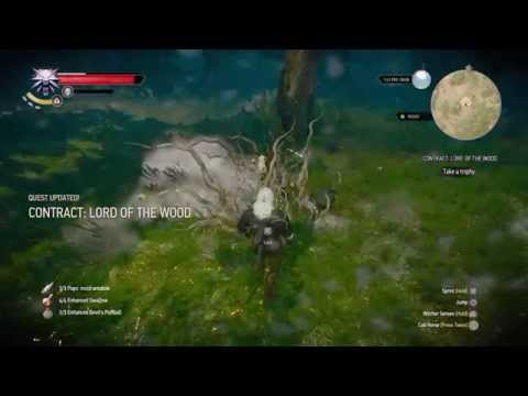 The Witcher 3 killing a leshen PS4 ( Death March )