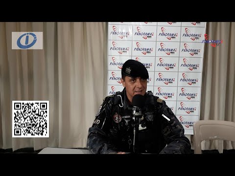 Acidente fatal envolvendo motociclista e cavalo solto destaca perigo de animais em vias públicas