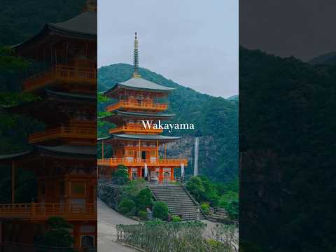 Best hidden gem in Japan: Wakayama 🇯🇵 #TravelJapan