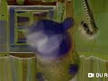 Jack S Big Music Show Theme Song