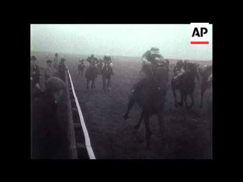 "Punch" Wins The Cesarewitch.