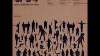 STS9 - "By the Morning Sun"