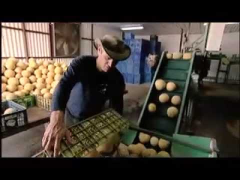 JNF Is Israel (2009) - Beautiful Music & Video Clips Of Israel