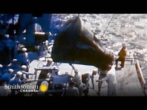 Neil Armstrong’s Genius Saved Gemini 8 from Disaster 🏆 Smithsonian Channel