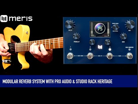 Meris Meris MercuryX - Modular Reverb System image 4