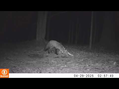 Lots of visitors this morning!