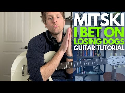 I Bet On Losing Dogs by Mitski Guitar Tutorial - Guitar Lessons with Stuart!